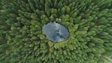 Il Lago Mediana. Foto FB Sauris Zahre