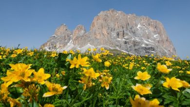 Il gruppo del Sassolungo dai pressi del Passo Sella. Foto Cesare Re