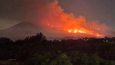 L'incendio dei giorni scorsi sul Vesuvio