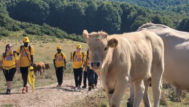 Montagna Libera Tutti 2025