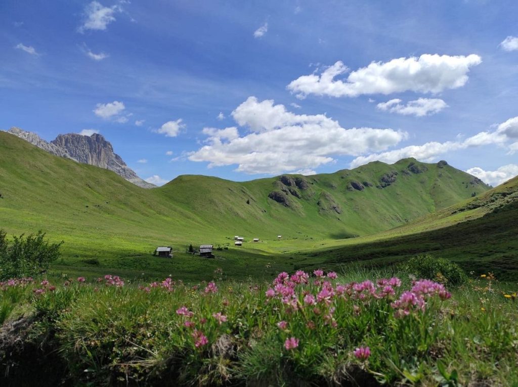 La Val di Dona. Foto Monica Malfatti