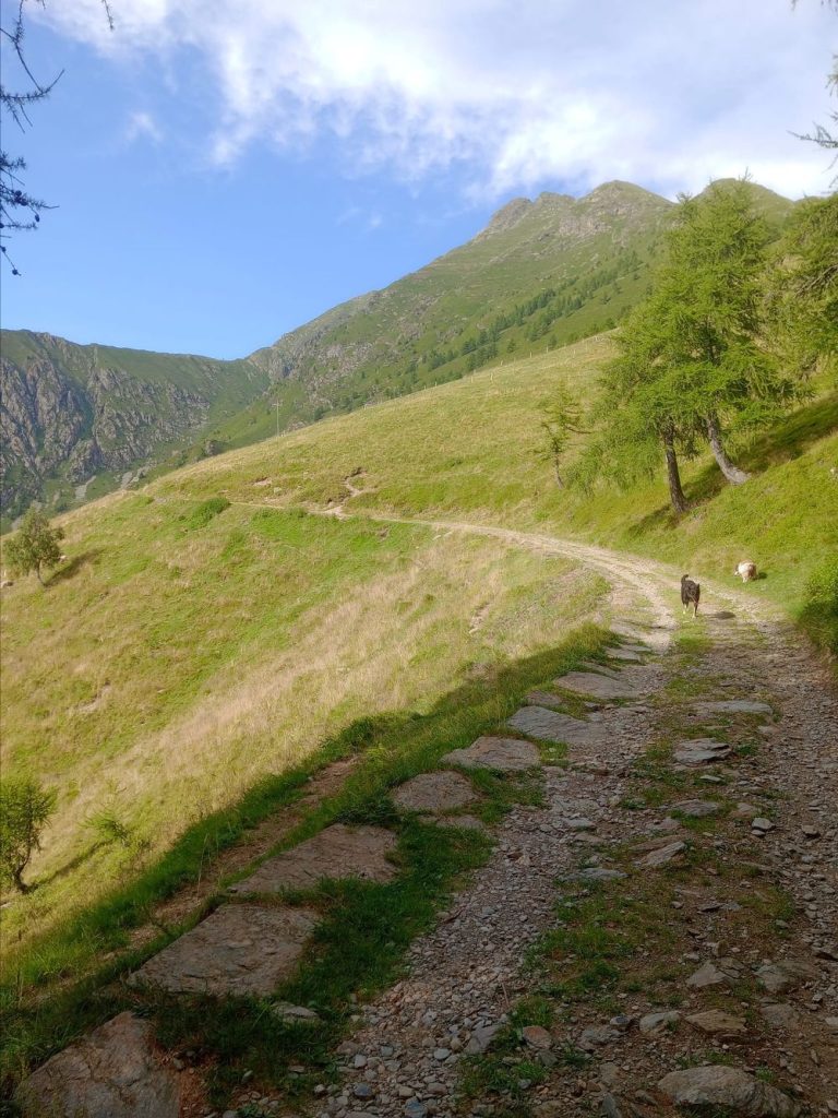 La vecchia strada militare che sale al rifugio Griera. Foto FB Rifugio Griera