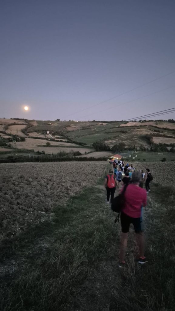 Un ambiente collinare di grande fascino