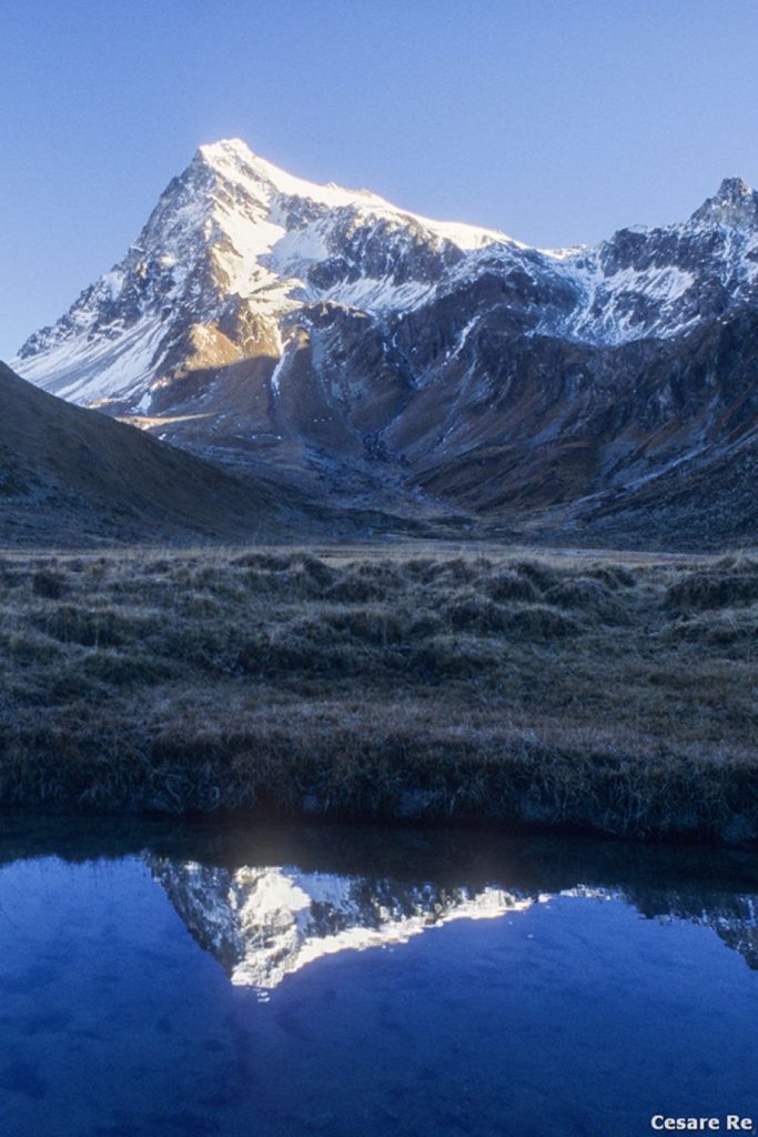Il Mont Glacier. Foto Cesare Re