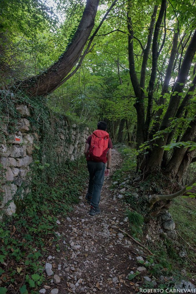 Foto Roberto Carnevali