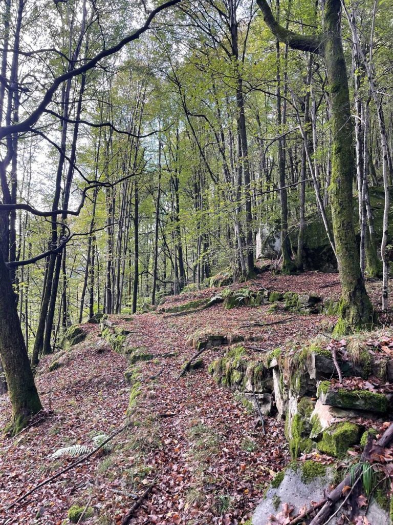 Tracce di sentiero a bassa quota tornano ad essere un invito (foto M. Comi)