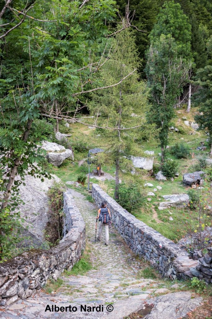 Il ponte di pietra cjhe porta al borgo di Maslana. Foto Alberto Nardi