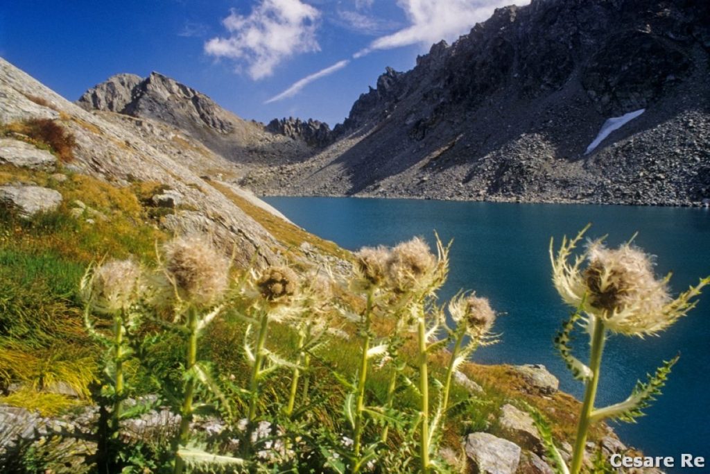 Il Lago di Pietra Rossa e la Becca Pougnenta (2824 m). Foto Cesare Re
