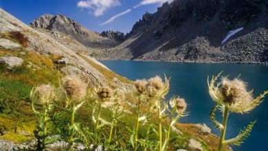 Il Lago di Pietra Rossa e la Becca Pougnenta (2824 m). Foto Cesare Re