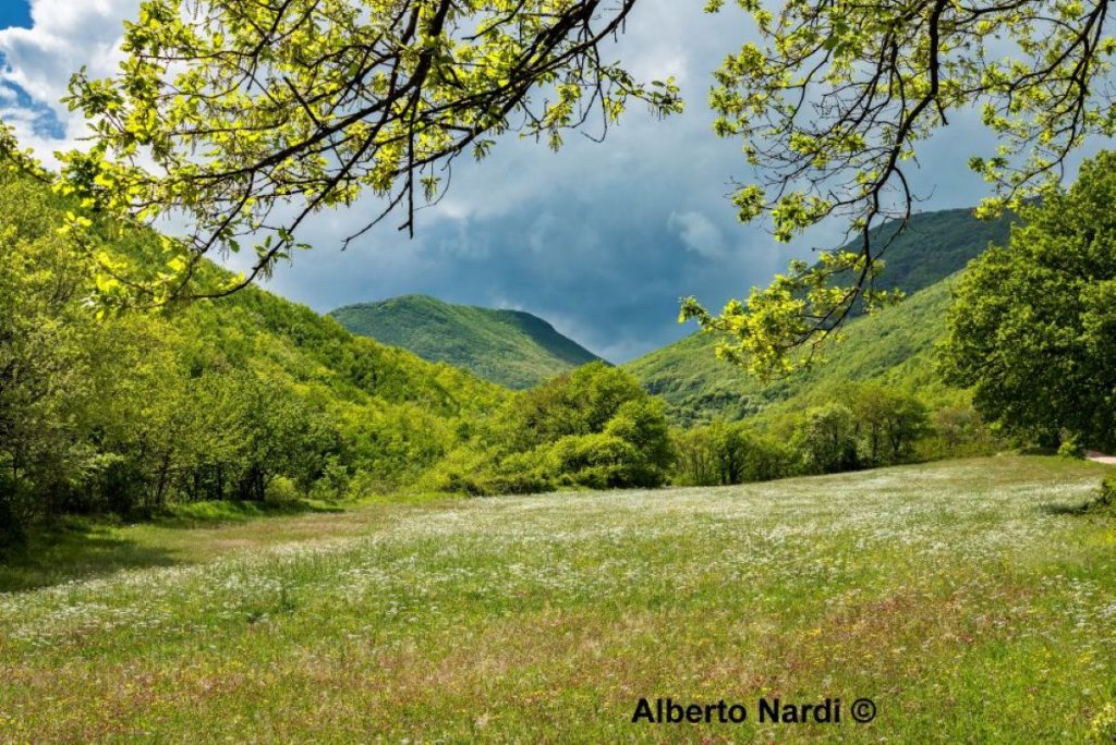 Lungo l'itinerario nei pressi di Valdiola. Foto Alberto Nardi