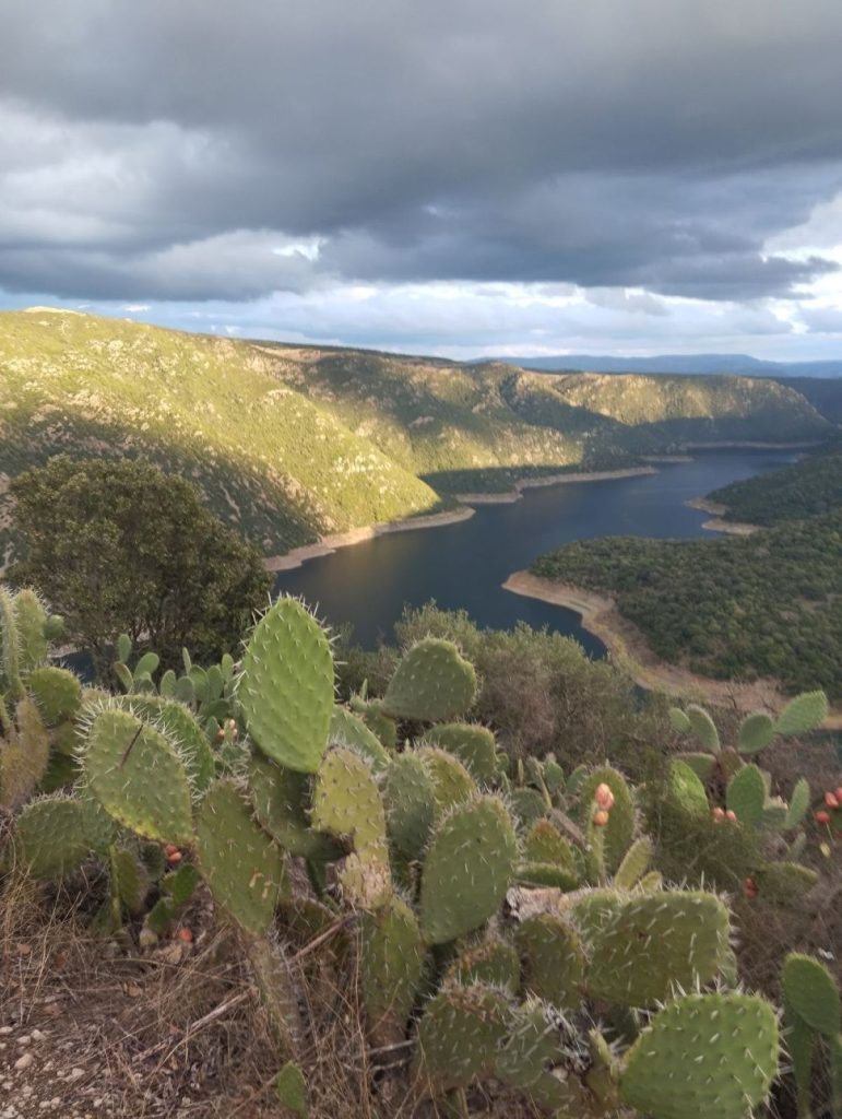 Il paesaggio nei pressi di Nurri. Foto Monica Conforti