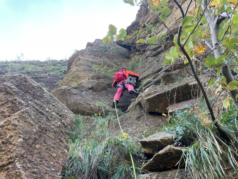La roccia, inizialmente nascosta tra arbusti tenaci ed erbe verticali (foto M. Comi)