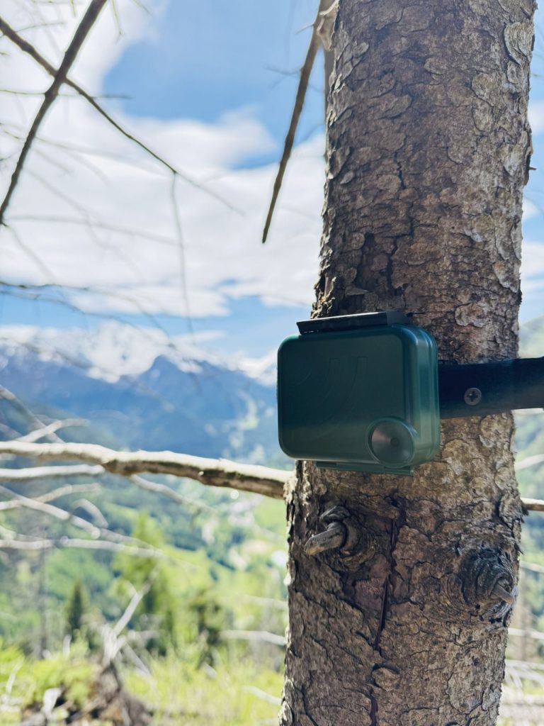 I dati saranno raccolti su vasta scala in Val di Non, Val di Peio, Valle del Tonale e Valfurva, con il supporto del Parco Nazionale dello Stelvio (settore trentino e lombardo)