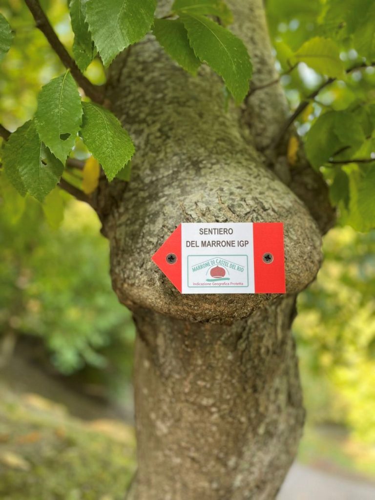 Indicazioni lungo il Sentiero del Marone IGP. FB Comune Castel del Rio