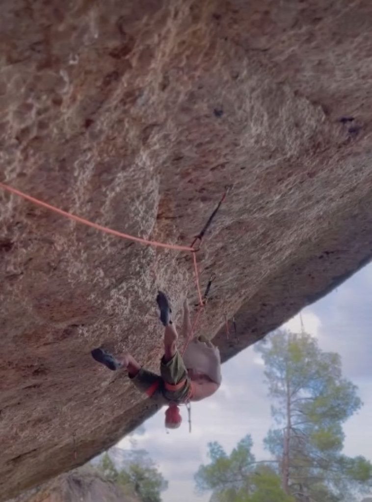 Su Pink Patatas @jorge.diazrullo