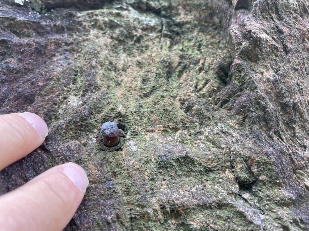 Il moncone di un vecchio chiodo a pressione emerge dalla superficie a bitorzoli (foto M. Comi)