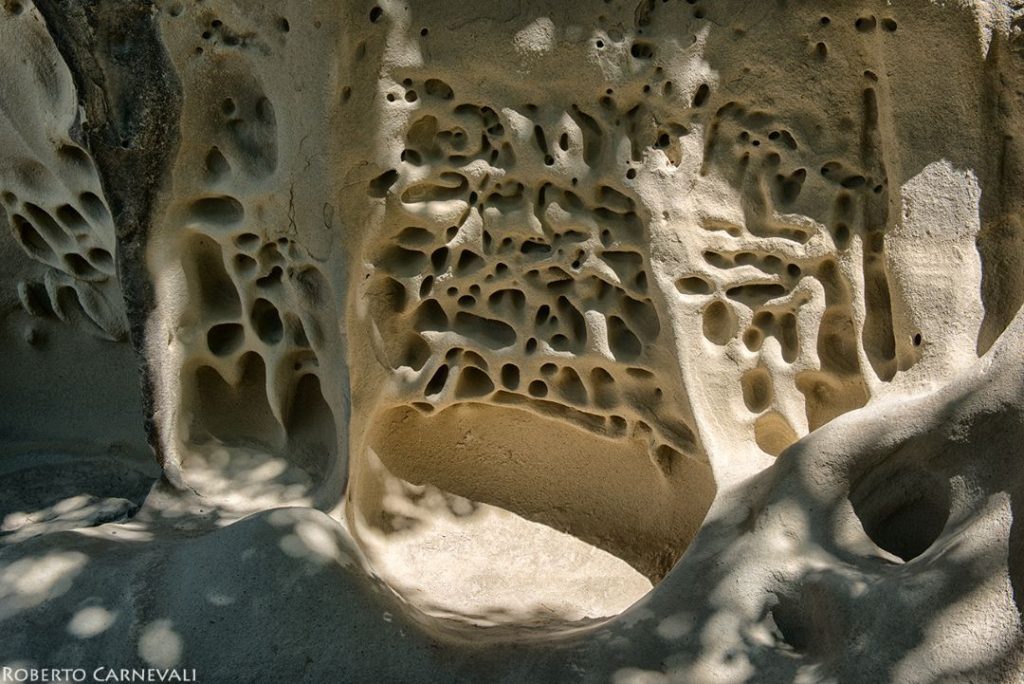 Alveolatura nelle Grotte di Soprasasso. Foto Roberto Carnevali