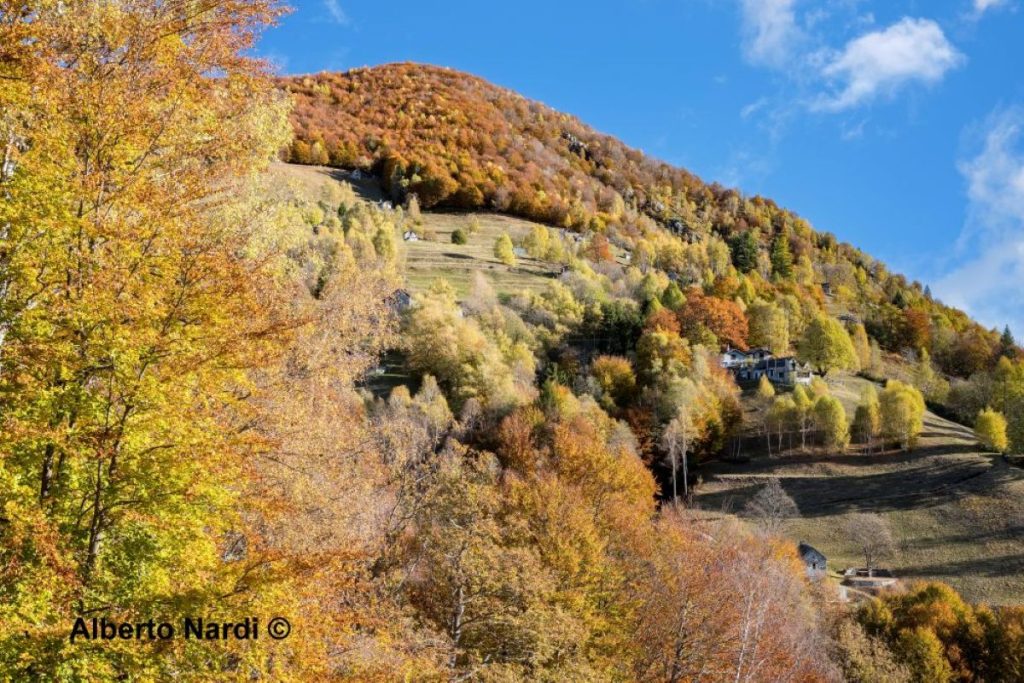 I colori dell'autunno sul sentiero per Madonna della Segna. Foto Alberto Nardi