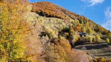 I colori dell'autunno sul sentiero per Madonna della Segna. Foto Alberto Nardi