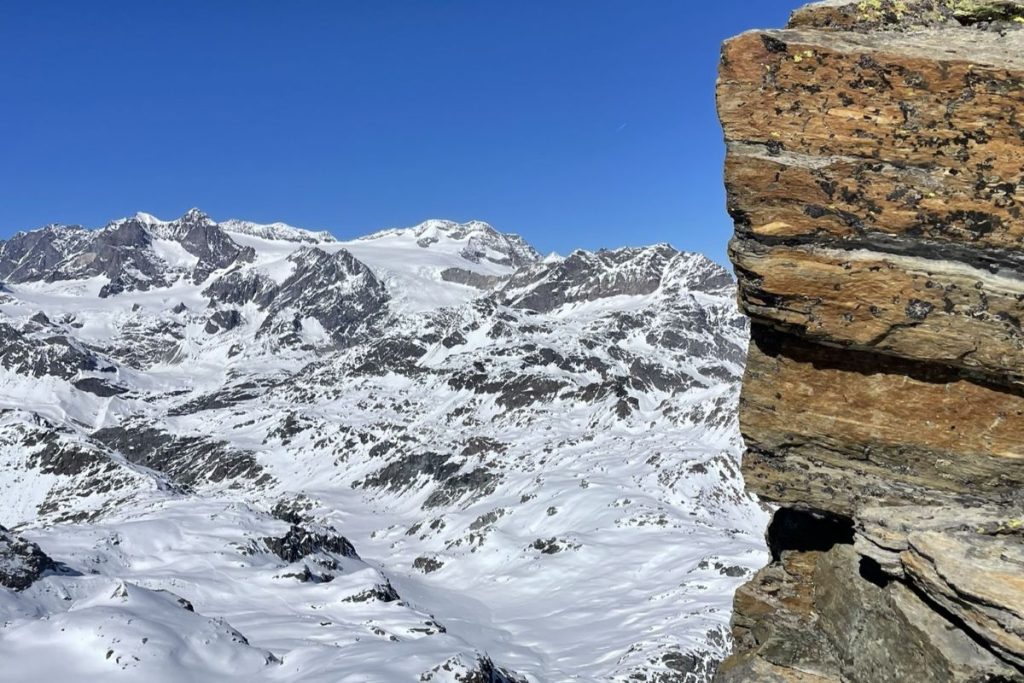 I licheni sono il simbolo di una resistenza silenziosa (foto M. Comi)