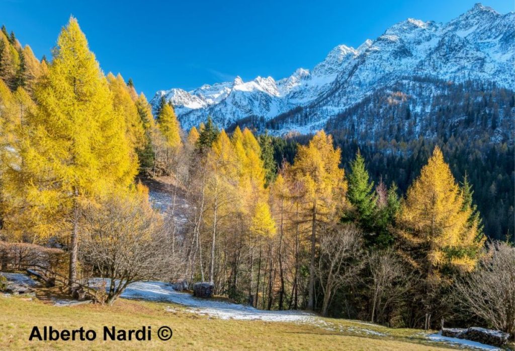 La Val Sambuzza in veste autunnale. Foto Alberto Nardi