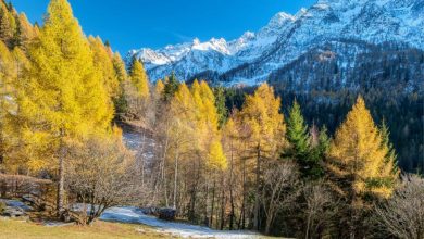 La Val Sambuzza in veste autunnale. Foto Alberto Nardi