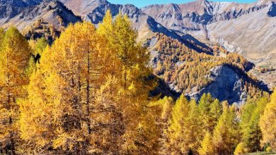 La valle de l'Aigue Blanche, che si risale per raggiungere la Croix de Curlet. Foto Alberto Nardi