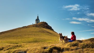 La vetta del Monte Guglielmo. Foto Alberto Nardi