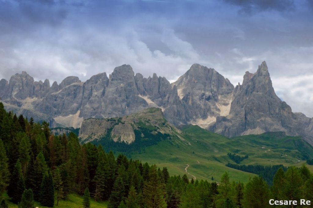 Le Pale di San Martino, dai pressi della Malga Bocche. Foto Cesare Re