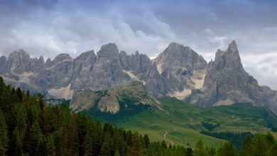 Le Pale di San Martino, dai pressi della Malga Bocche. Foto Cesare Re