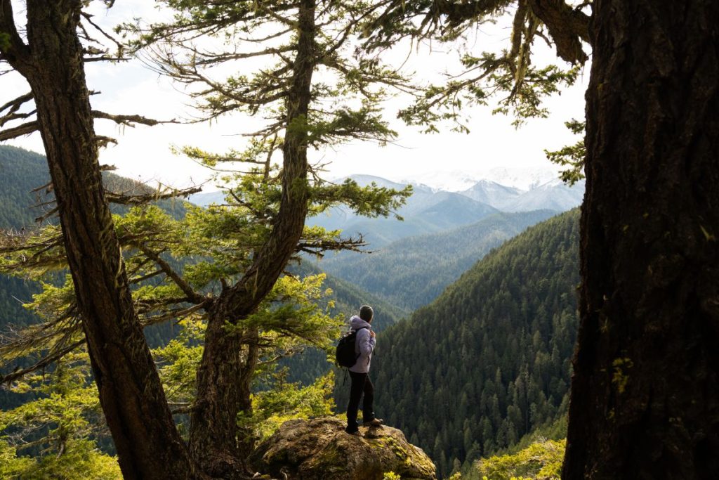 Le app sono sempre più utilizzate dagli escursionisti @ AT_OlympicNP_Library