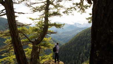 Le app sono sempre più utilizzate dagli escursionisti @ AT_OlympicNP_Library