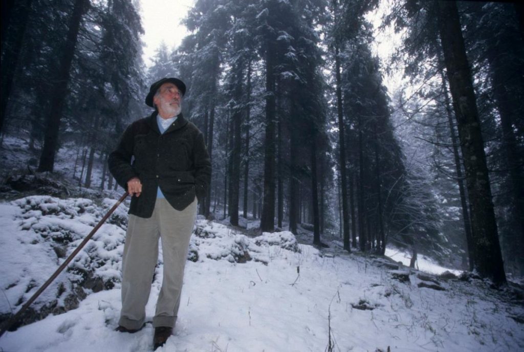 Mario Rigoni Stern. Foto Vittorio Giannella