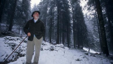 Mario Rigoni Stern. Foto Vittorio Giannella