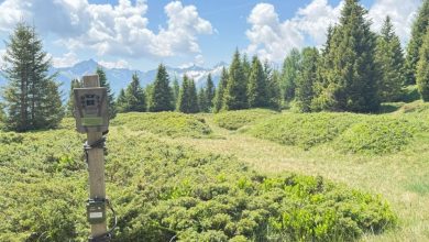 Sensori acustici e fototrappole andranno a monitorare il paesaggio sonoro di alcune aree boschive del Trentino e della Lombardia