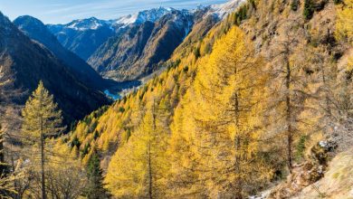 Uno sguardo al'indietro verso il fondovalle della Val Sambruzza, nelle Orobie Bergamasche. Foto Alberto Nardi