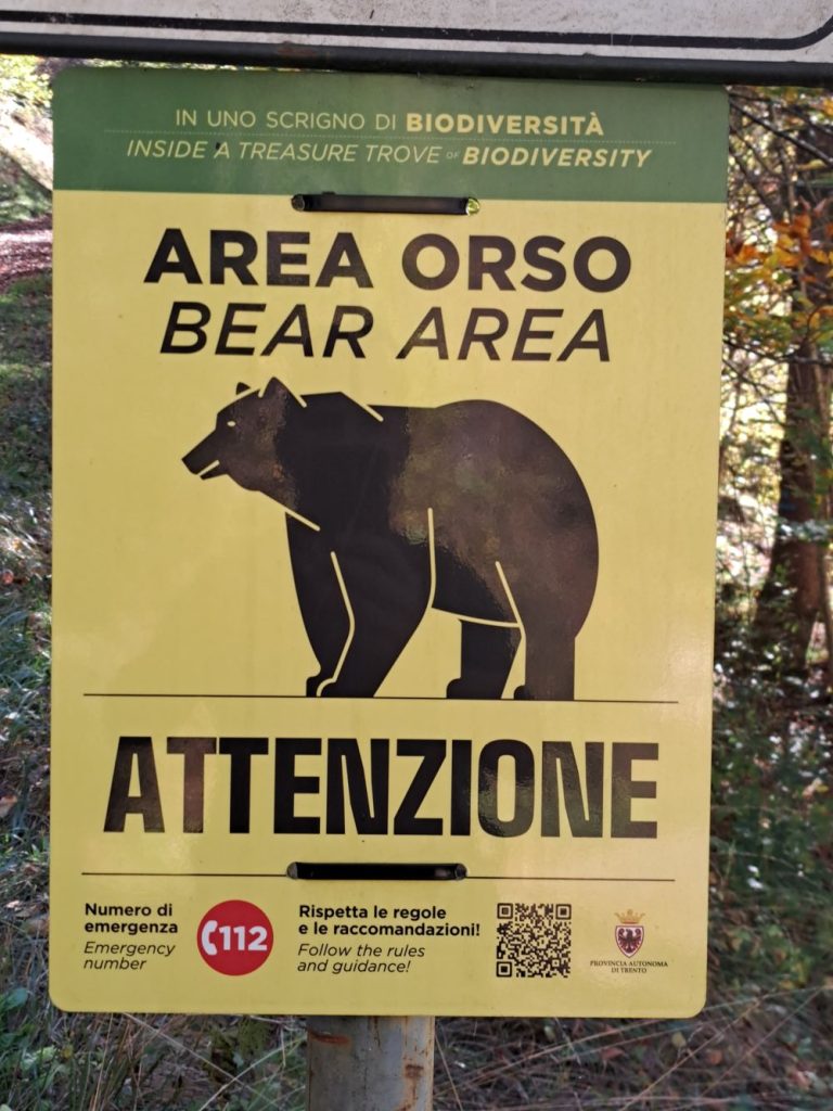 I cartelli che segnalano la possibile presenza di orsi