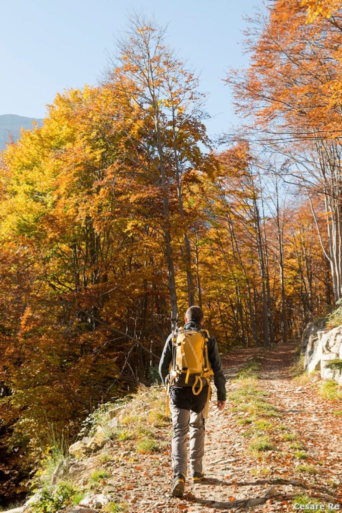 La parte iniziale del percorso. Foto Cesare Re