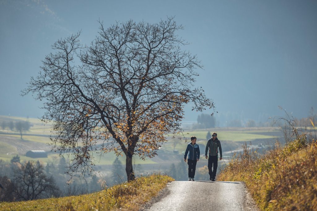Il Sentiero della noce si sviluppa principalmente su strade secondarie o sterrate. FB Garda Trentino