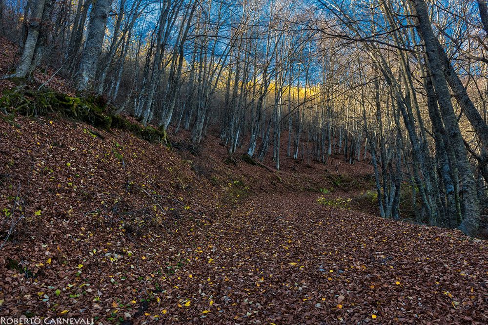 La prima parte del sentiero. Foto Roberto Carnevali