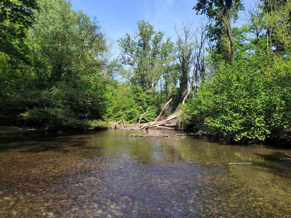 C Alessandro Balestrieri