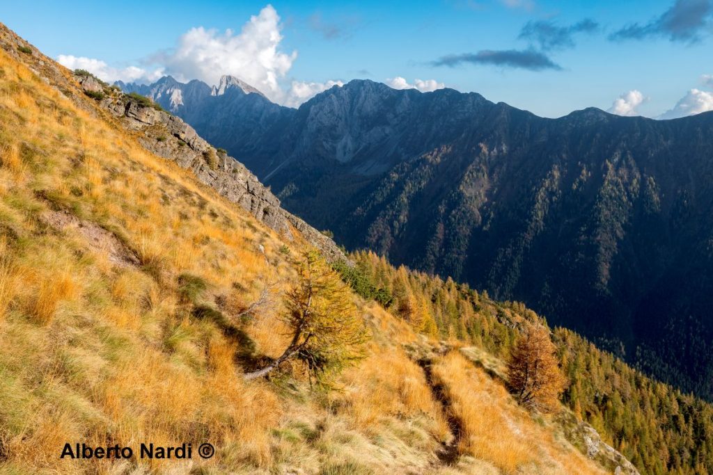 La vista verso il Cimone della Bagozza dal sentiero 416. Foto Alberto Nardi