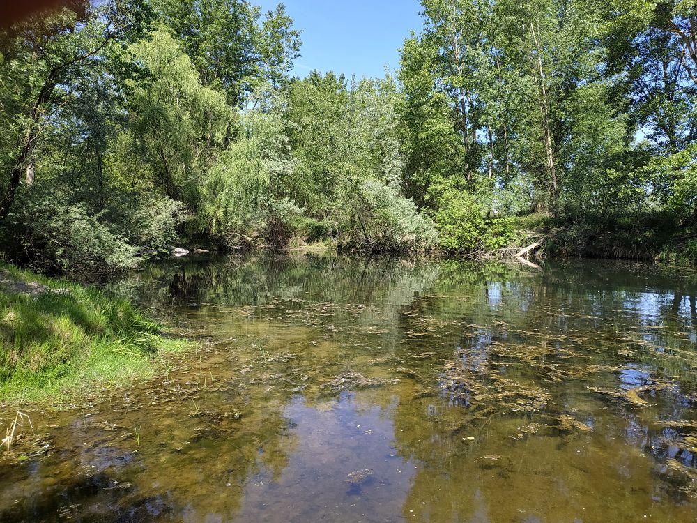 C Alessandro Balestrieri