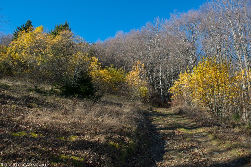 Foto Roberto Carnevali