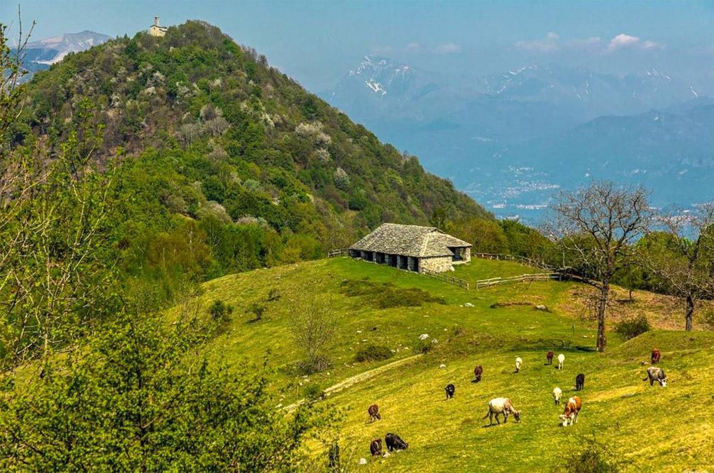 Pian delle Alpi, in Valle Intelvi @ lagodicomogal.eu