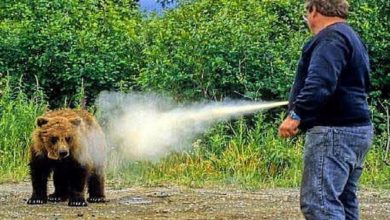 Bear Spray, efficace anche da una distanza di sei-otto metri @The BoZone