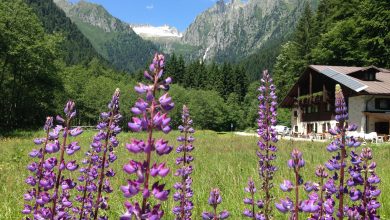 Il Rifugio Gorck, in Val San Valentino