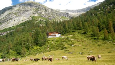 Il Rifugio Val di Fumo, in Trentino @wikipedia