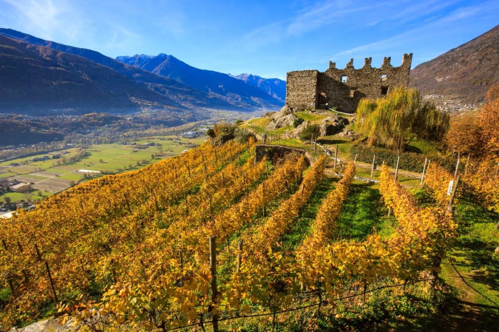 La Via dei terrazzamenti, in Valtellina