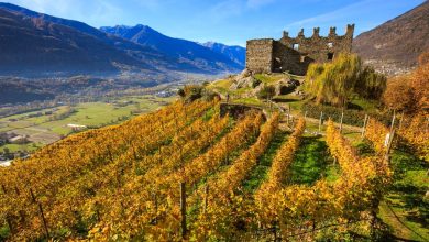 La Via dei terrazzamenti, in Valtellina